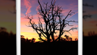  için 0 numaralı resim