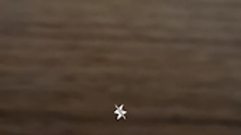 の画像0