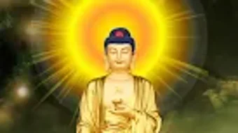 의 이미지 0
