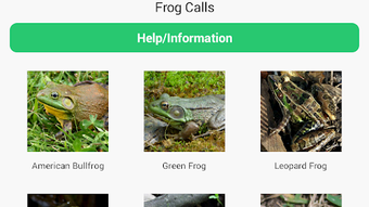 Frog Calls