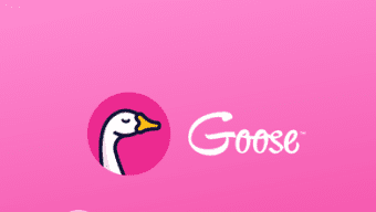 Goose Travel Insurance