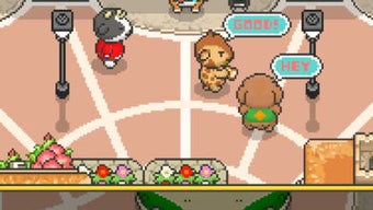  için 0 numaralı resim