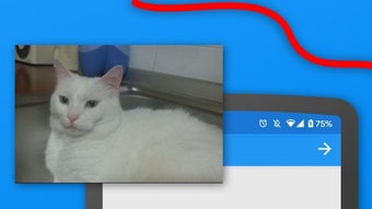 の画像0