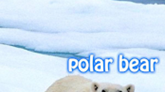 Immagine 0 per 