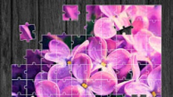  için 0 numaralı resim