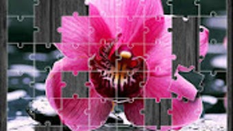  için 0 numaralı resim