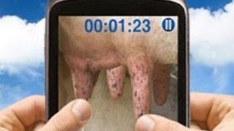 Immagine 0 per 