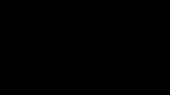 의 이미지 0