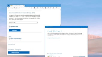 Windows 11 Disk Image (ISO) (Windows) - Download