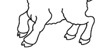 Imagem 0 para 