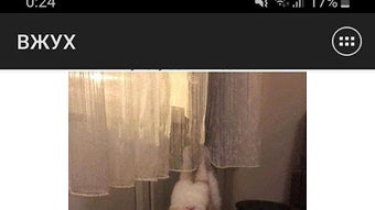 の画像0
