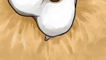 รูปภาพ 0 สำหรับ 