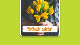 الصورة 0 لـ 