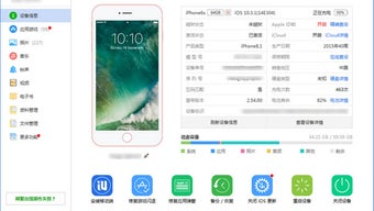 的第0张图片
