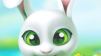 รูปภาพ 0 สำหรับ 