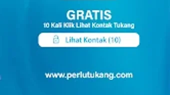 의 이미지 0