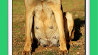 Изображение 0 для 