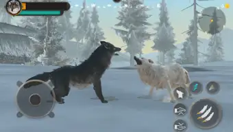 Wolf Hunting Wild Jungle games