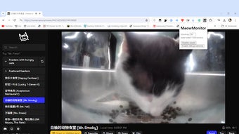 の画像0