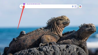 の画像0