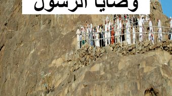 الصورة 0 لـ 