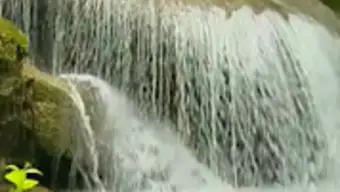 Tropical waterfall Video LWP