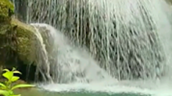 รูปภาพ 0 สำหรับ 