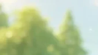 的第0张图片