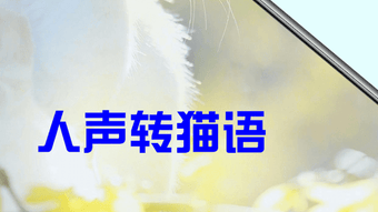 の画像0