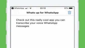 Whats up for WhatsApp