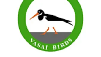 Vasai Birds