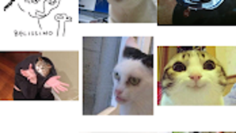  için 0 numaralı resim