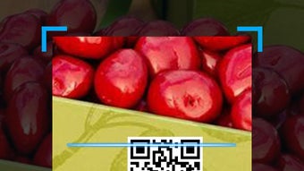 的第0张图片
