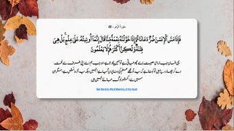 الصورة 0 لـ 