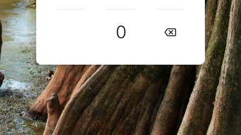 의 이미지 0