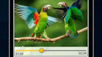 รูปภาพ 0 สำหรับ 