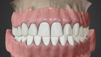BoneBox - Dental Lite