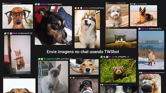 Afbeelding 0 voor 