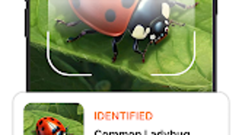 Imagem 0 para 