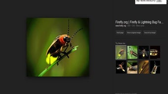 รูปภาพ 0 สำหรับ 