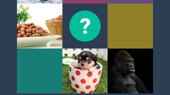 รูปภาพ 0 สำหรับ 