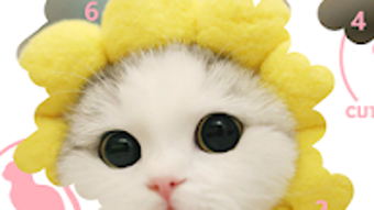 의 이미지 0