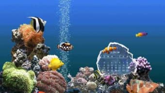SereneScreen Marine Aquarium