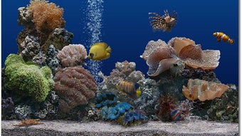 SereneScreen Marine Aquarium