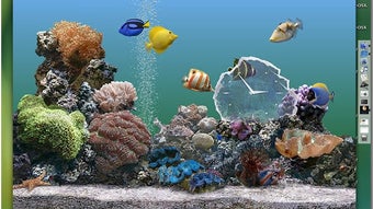 Immagine 0 per 