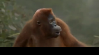 の画像0