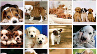 Imagem 0 para 