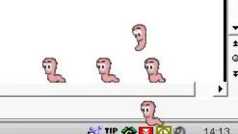 Worms Screenmate