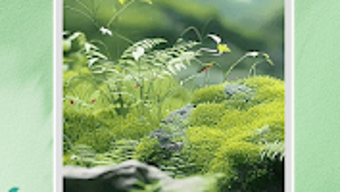  için 0 numaralı resim