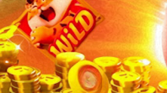 Bild 0 för 
